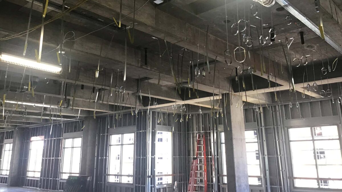 Project-Celebration-4