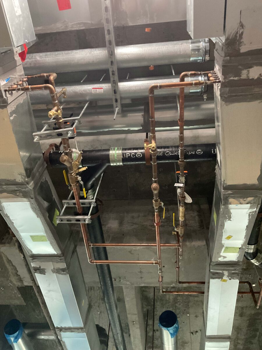 IMG_0796_Coen-Purvis