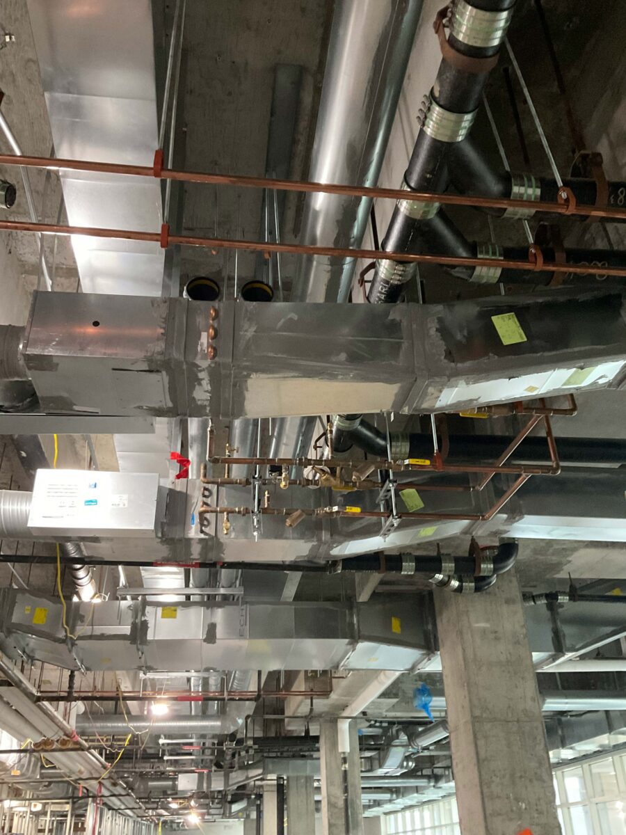 IMG_0799_Coen-Purvis